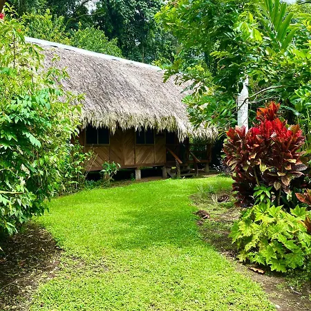 Wildlife Lodge Cahuita Exterior photo