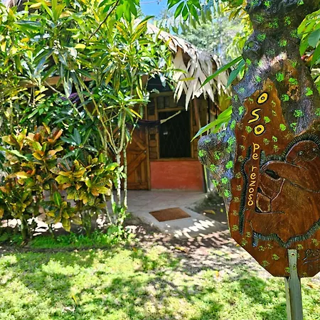 Wildlife Lodge Cahuita Exterior photo