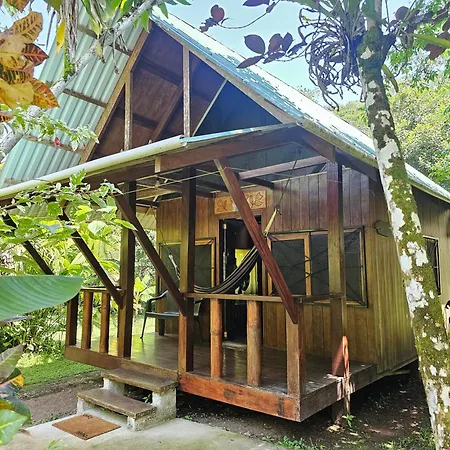 Wildlife Lodge Cahuita Exterior photo