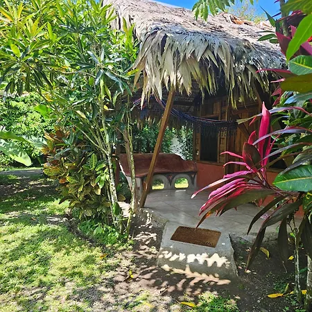 Wildlife Lodge Cahuita Exterior photo