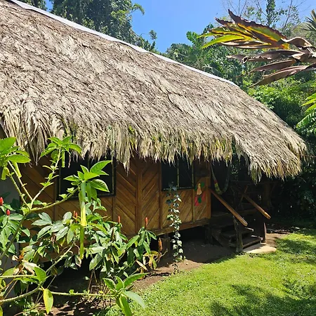 Wildlife Lodge Cahuita Exterior photo