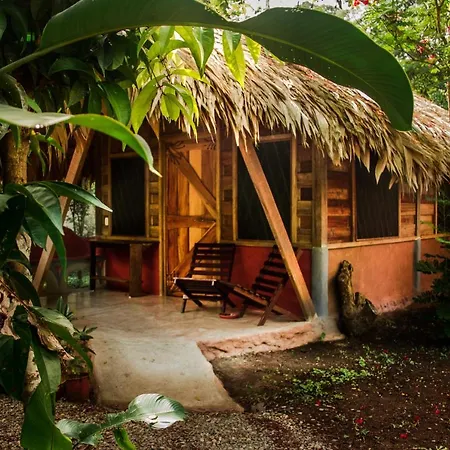 Wildlife Lodge Cahuita Exterior photo