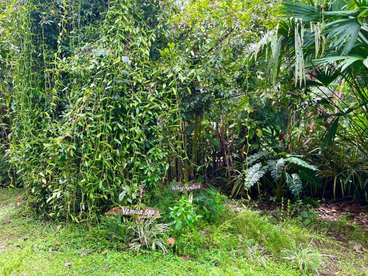 Wildlife Cahuita