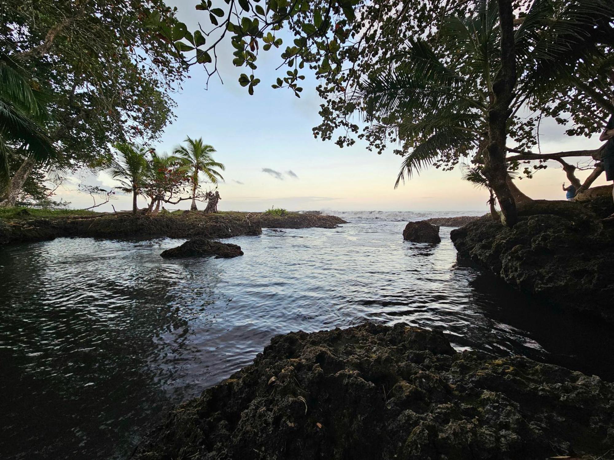 Wildlife * Cahuita