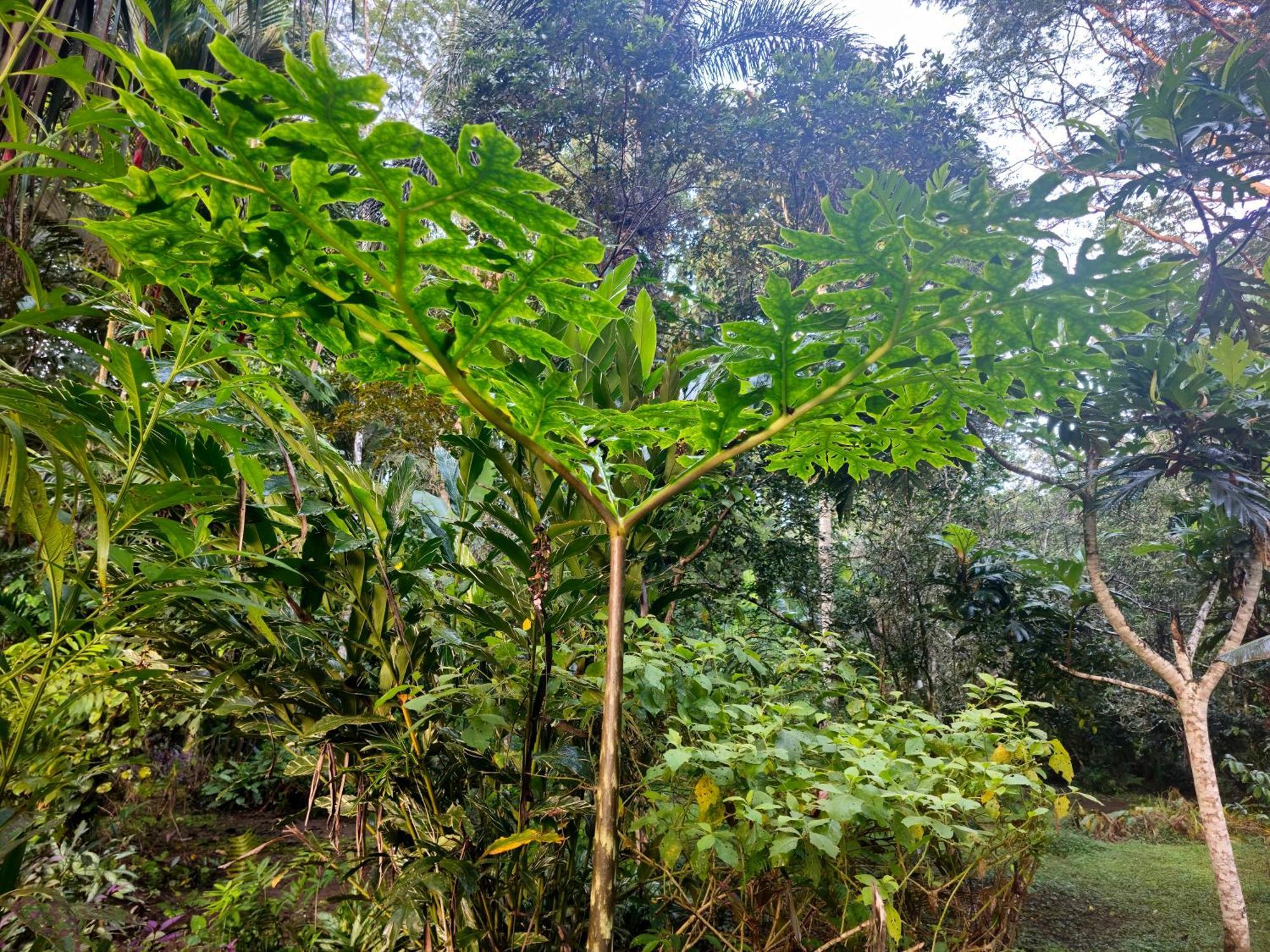 Wildlife Lodge