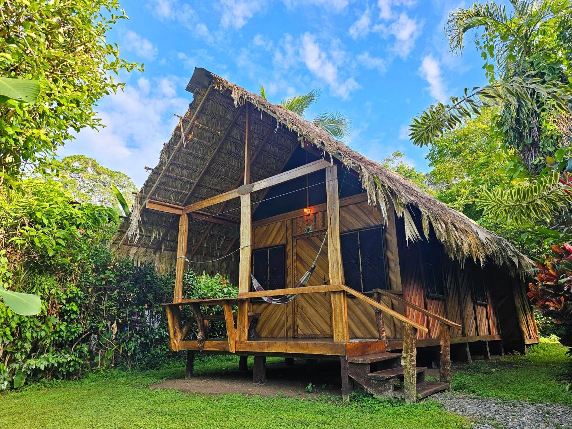 Lodge Wildlife Cahuita