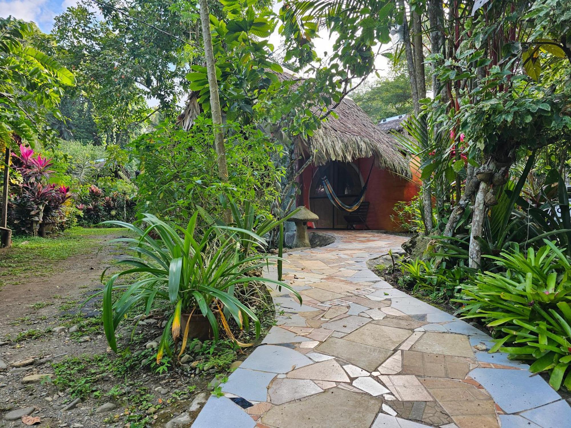 Lodge Wildlife Cahuita