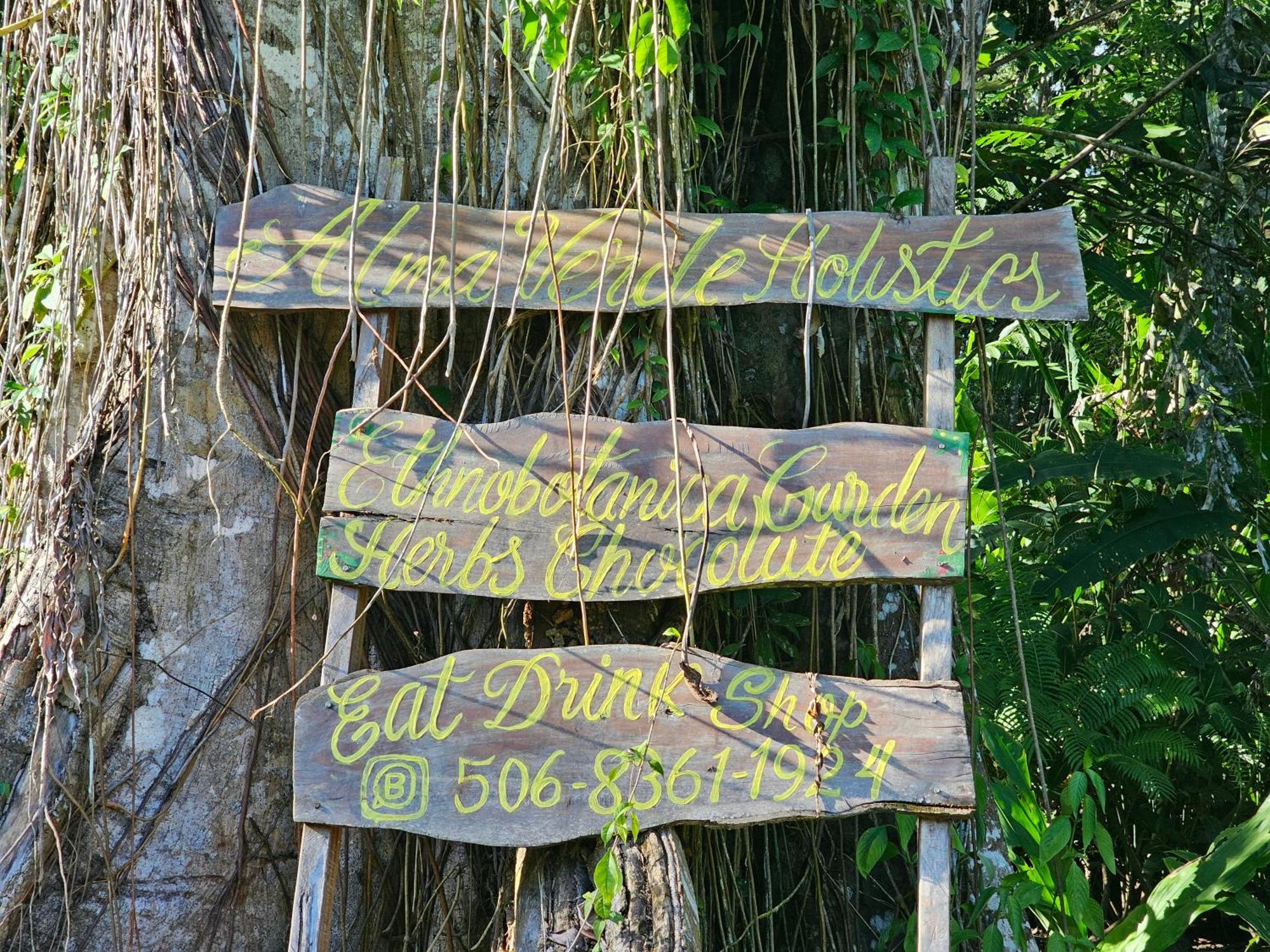 Wildlife * Cahuita