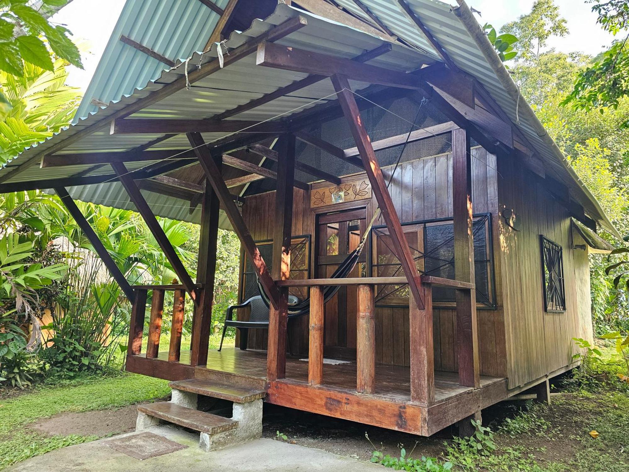 Wildlife * Cahuita