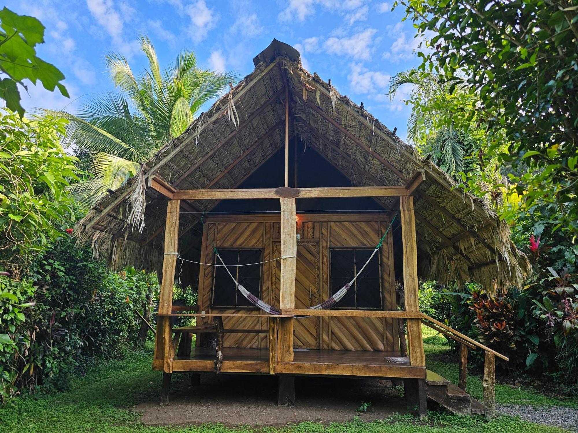 Lodge Wildlife Cahuita