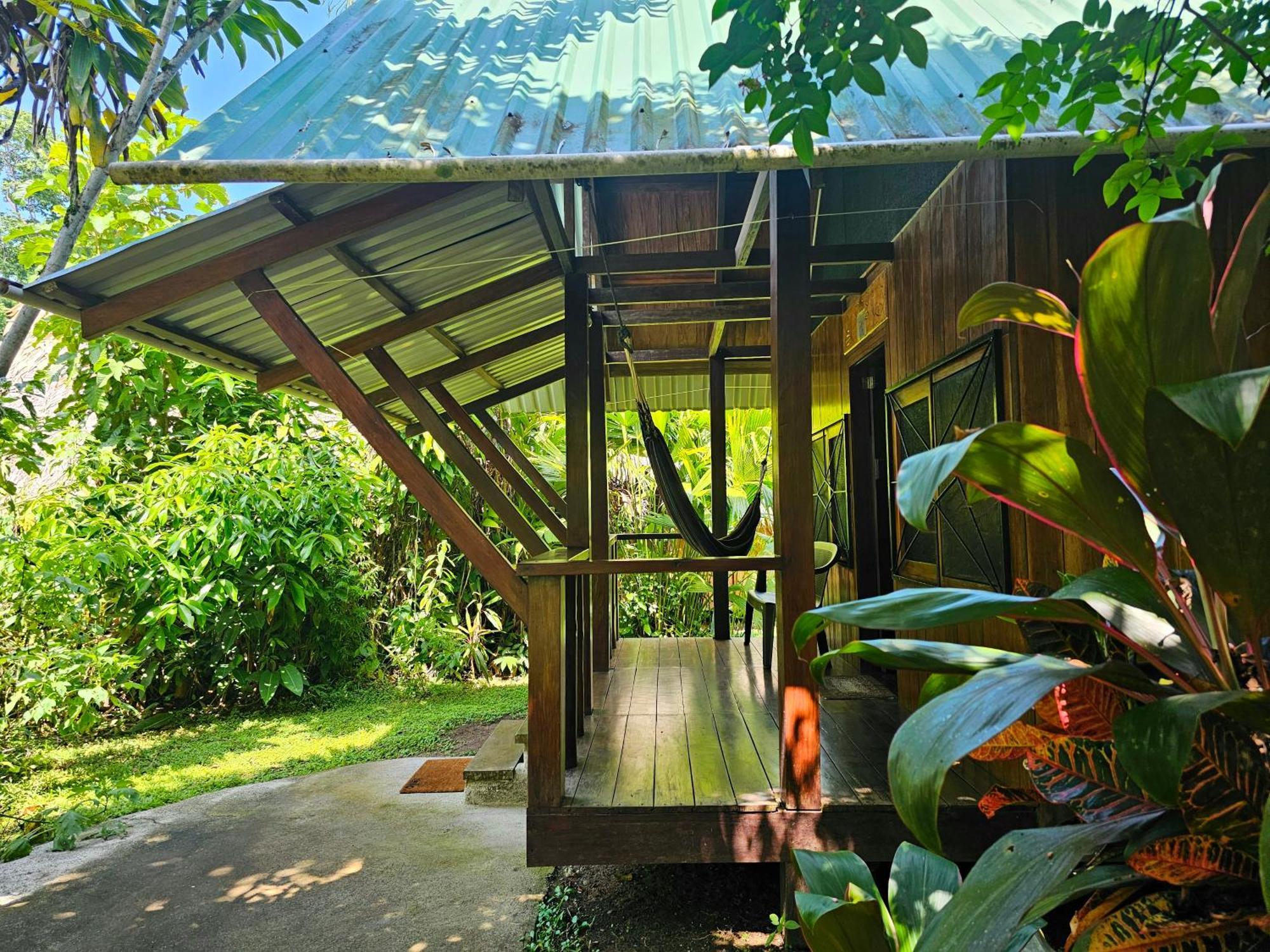 Lodge Wildlife Cahuita