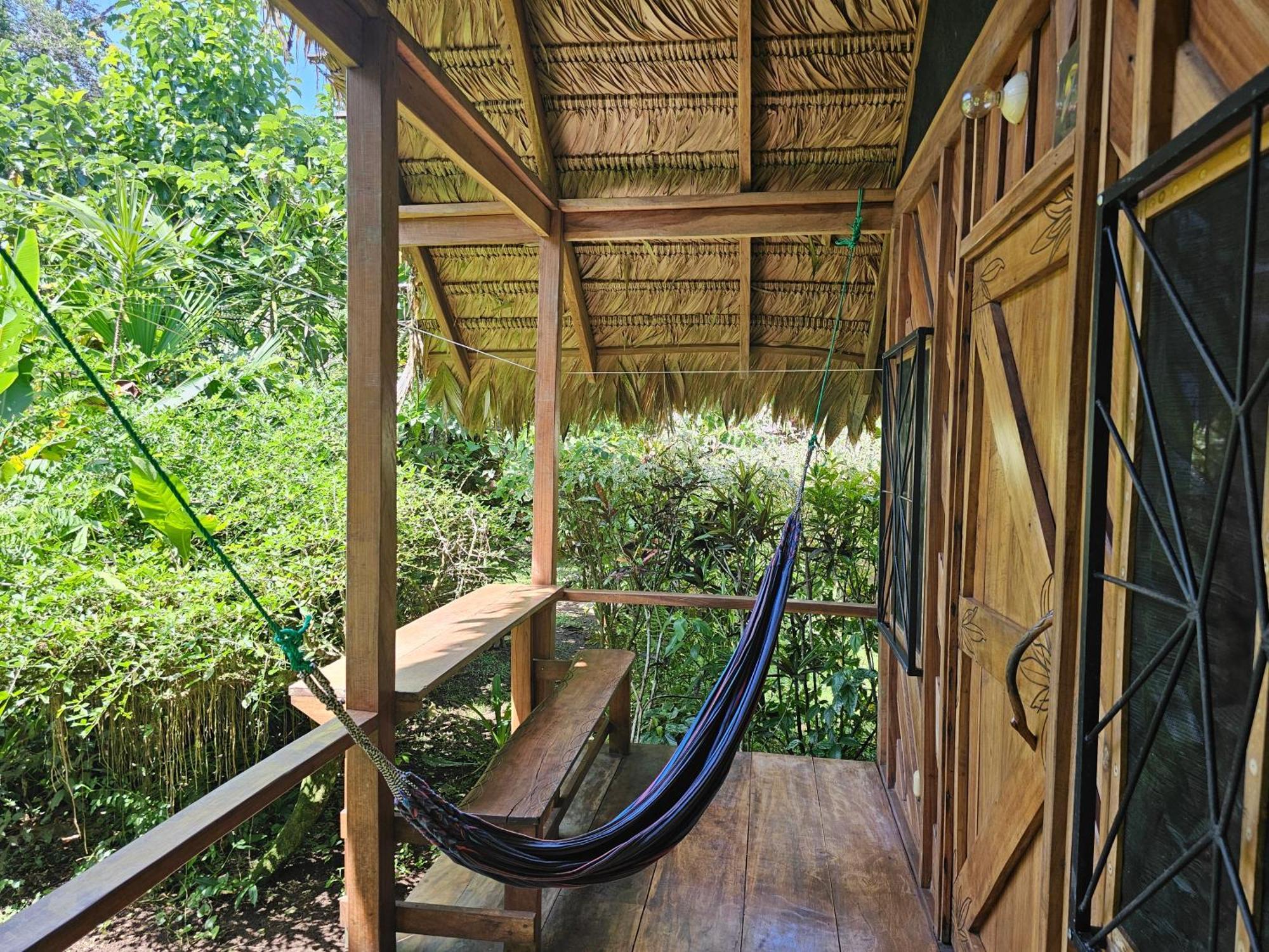 Wildlife Cahuita