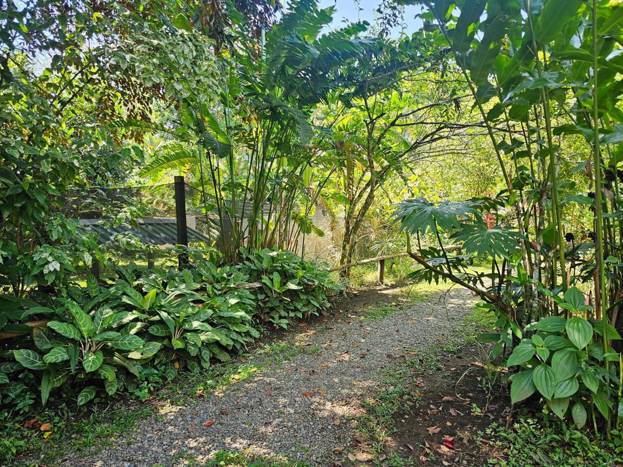 Wildlife Lodge