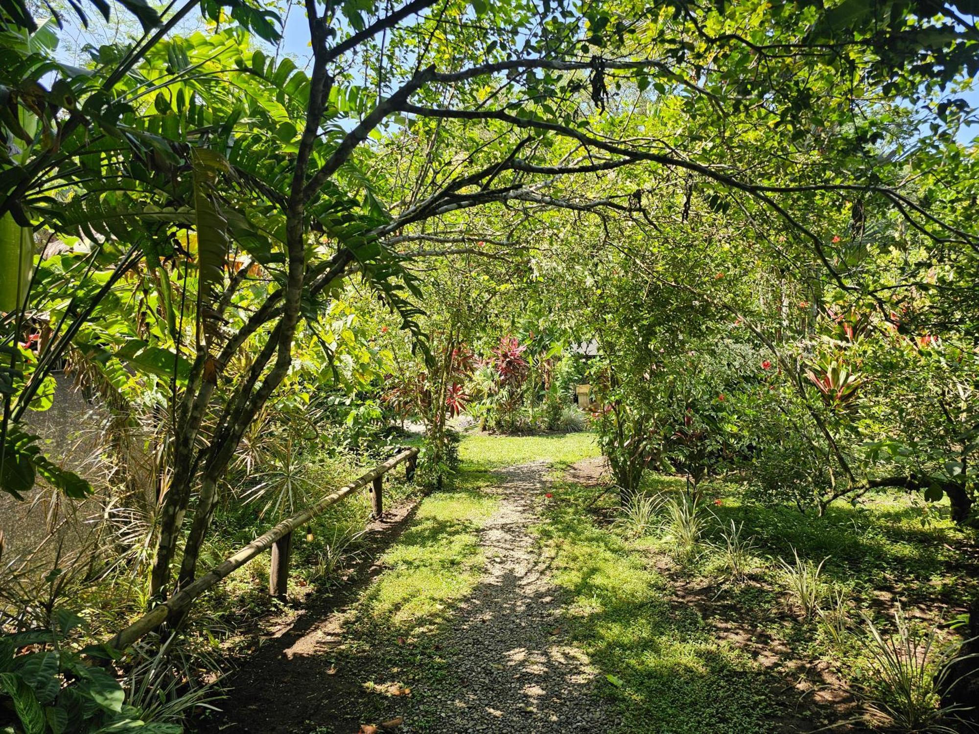 Wildlife Lodge *