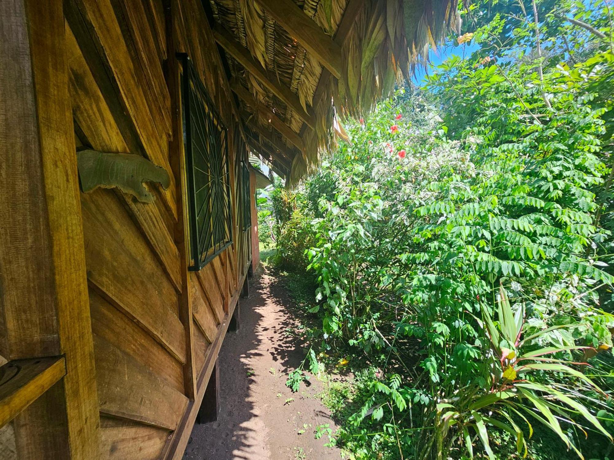 Lodge Wildlife Cahuita