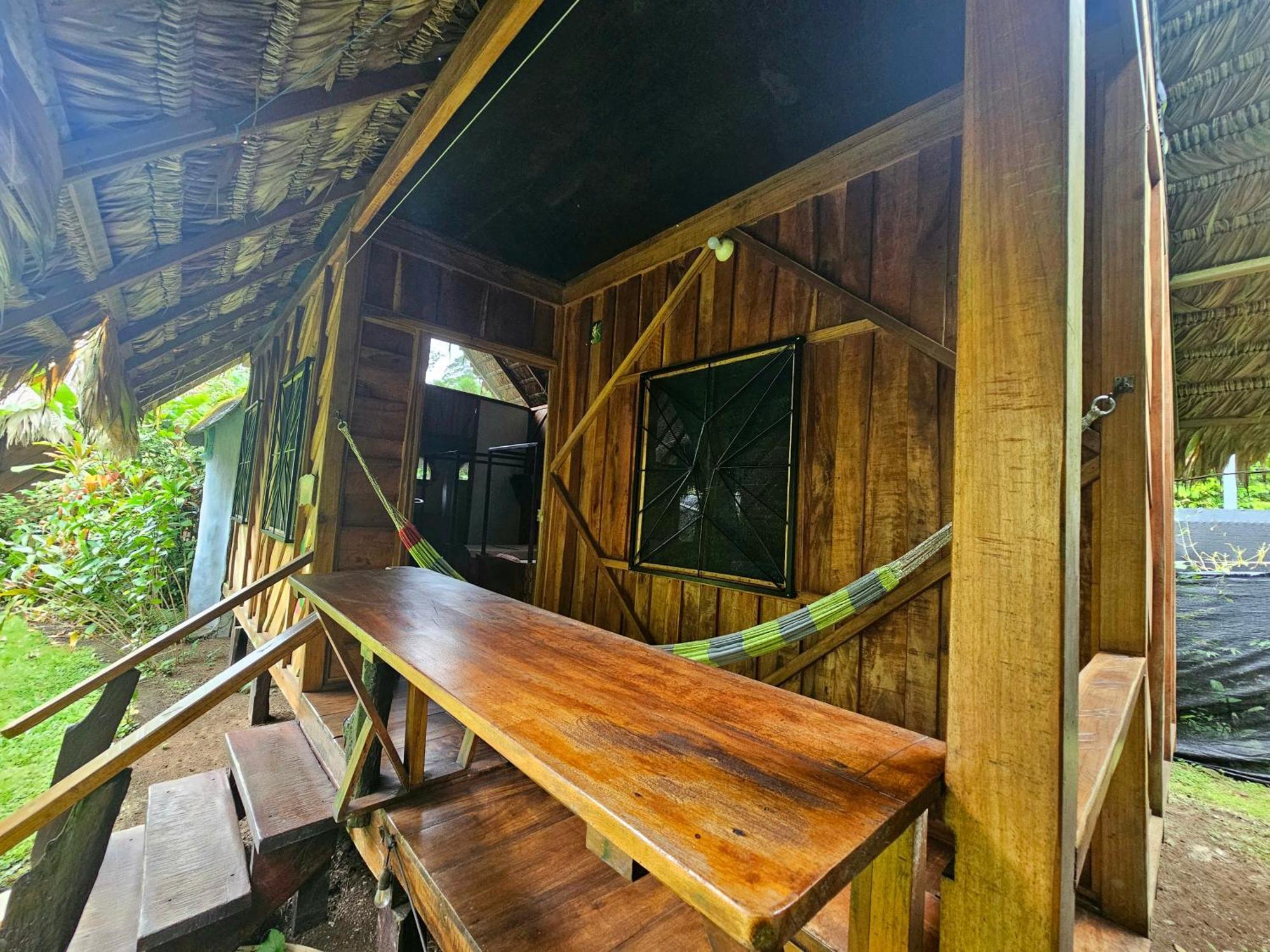 Wildlife Cahuita